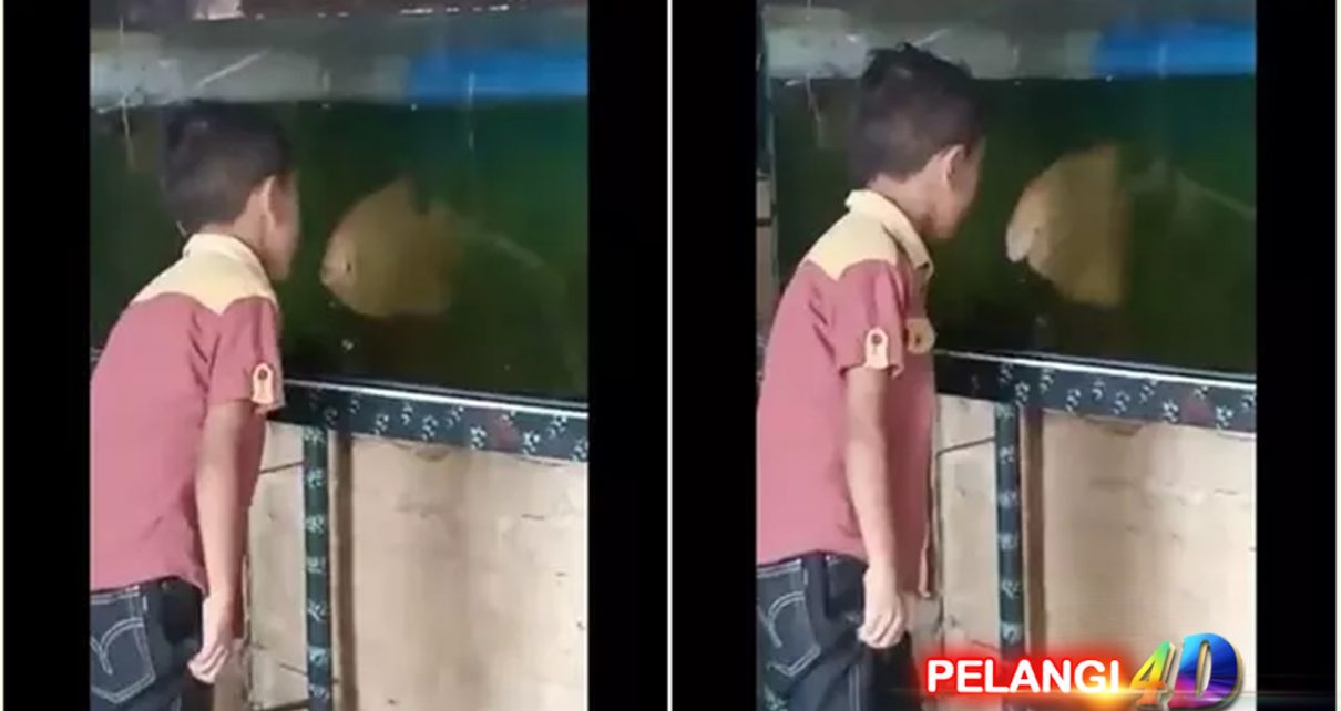 Viral Aksi Lucu Bocah Adu Mulut dengan Seekor Ikan