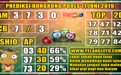 PREDIKSI TOGEL HONGKONG POOLS 11 JUNI 2019