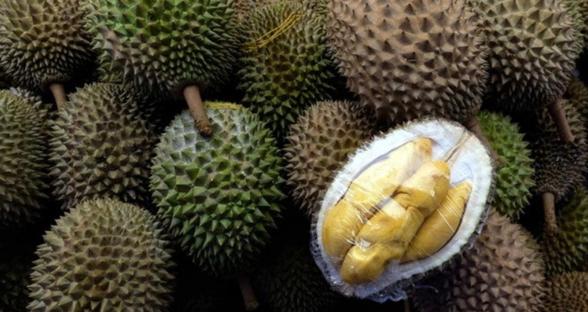 Manfaat Durian yang Tak Banyak Diketahui dari Kulit hingga Akarnya