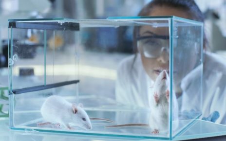 Mengapa Percobaan Medis Sering Memakai Tikus?