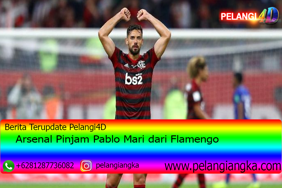 Arsenal Pinjam Pablo Mari dari Flamengo