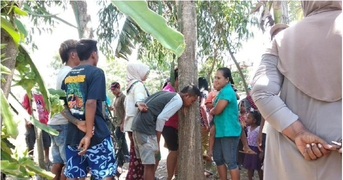 Heboh Pohon Menangis di Jember, Dirukyah Hingga Tumbuh di Bekas Kuburan 