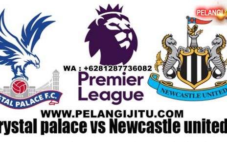 Prediksi Crystal Palace vs Newcastle United 22 Februari 2020
