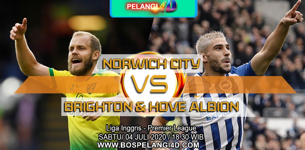 Prediksi Norwich City vs Brighton Hove Albion 4 Juli 2020