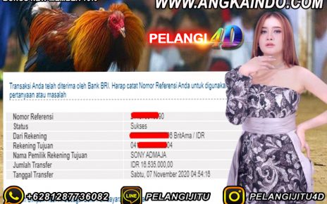 Bukti Kemenangan Sabung Ayam 07 November 2020