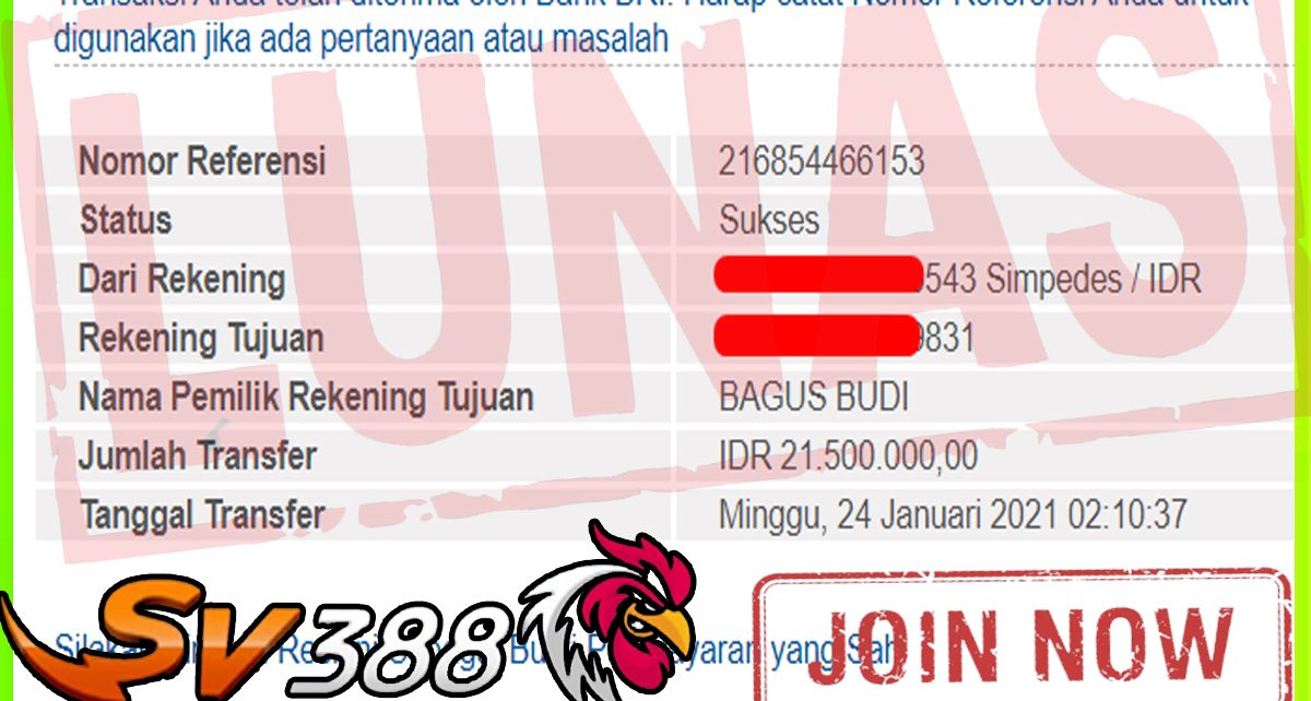 BUKTI KEMENANGAN MEMBER PELANGI4D DARI SABUNG AYAM SV388