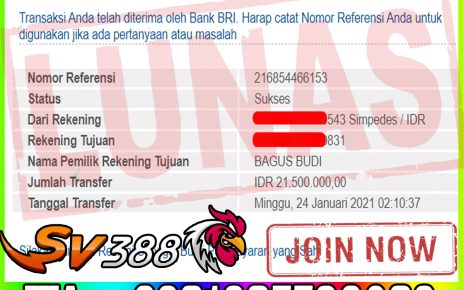 BUKTI KEMENANGAN MEMBER PELANGI4D DARI SABUNG AYAM SV388