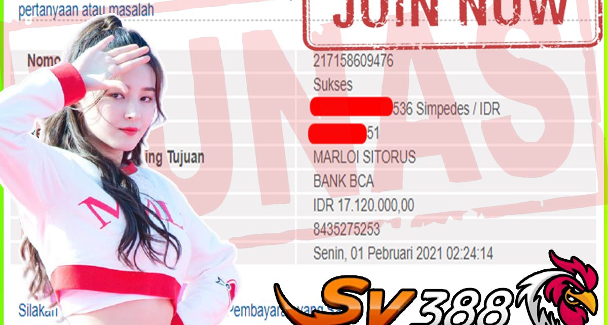 BUKTI KEMENANGAN MEMBER PELANGI4D DARI SABUNG AYAM SV388