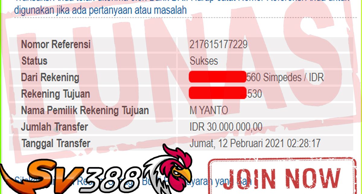 BUKTI KEMENANGAN MEMBER PELANGI4D DARI SABUNG AYAM SV388