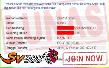 BUKTI KEMENANGAN MEMBER PELANGI4D DARI SABUNG AYAM SV388