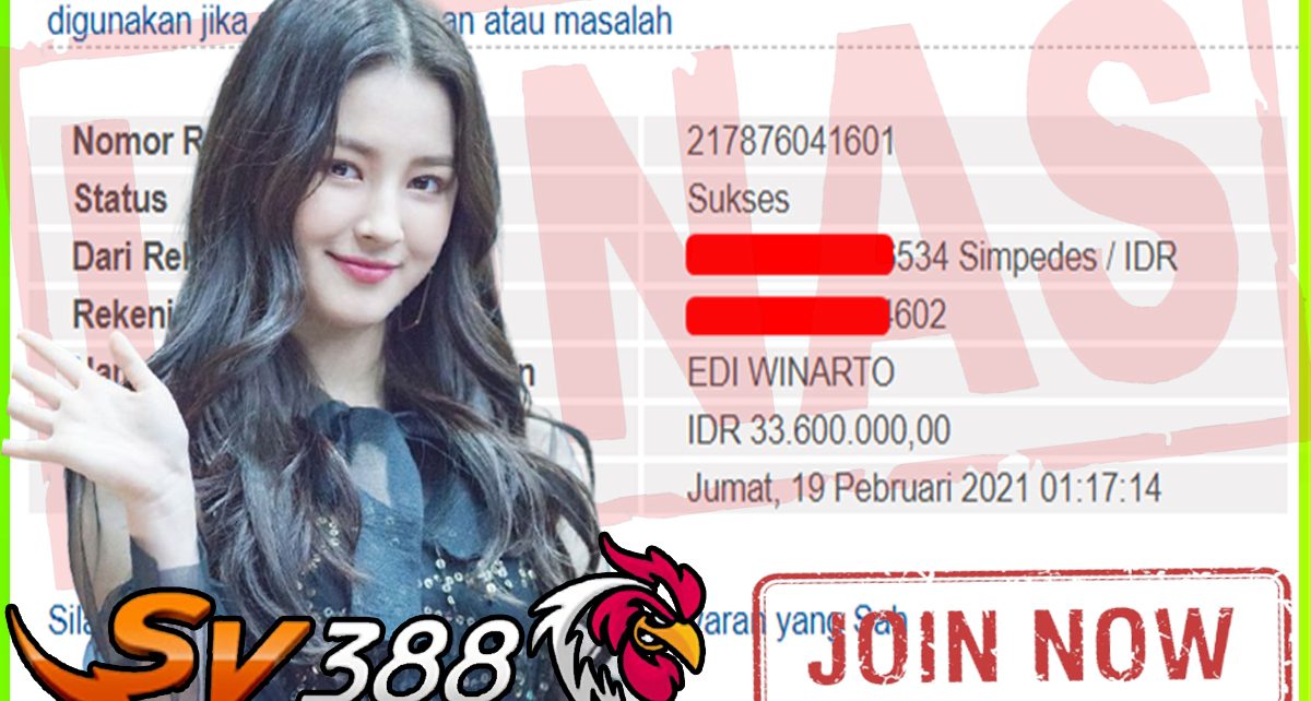 BUKTI KEMENANGAN MEMBER PELANGI4D DARI SABUNG AYAM SV388